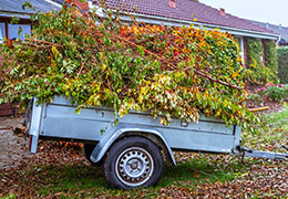 Garten- und Landschaftsbau Gera Meseck